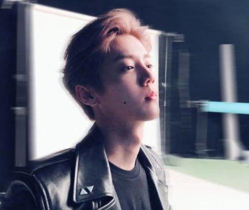 鹿晗娱乐吃瓜,幕后故事与精彩瞬间  第1张