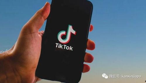 tiktok最新爆料,行业动态与未来趋势深度解析  第1张